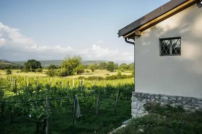a building with a window and a field of crops at Auto camp Matica in Podgorica