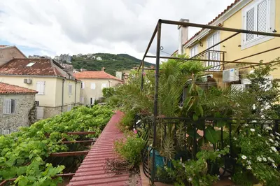 a street in a town with plants and buildings at Stan Stari Grad Budva in Budva