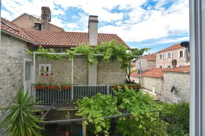 a house with vines on the side of it at Stan Stari Grad Budva in Budva