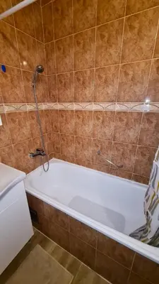 a bath tub in a bathroom with a shower at Boka apartment in Kotor