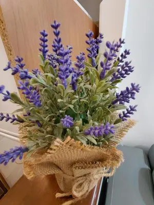 a vase filled with purple flowers on a table at Luna Apartman in Kotor