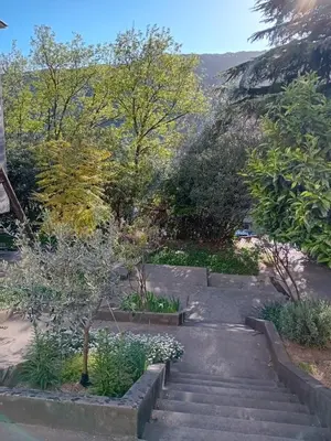 a garden with stairs and trees on a hill at Luna Apartman in Kotor