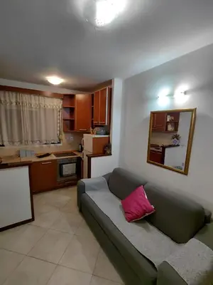 a living room with a green couch with a pink pillow at Luna Apartman in Kotor