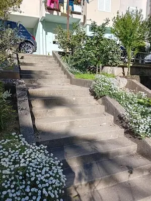 a set of concrete stairs with white flowers at Luna Apartman in Kotor