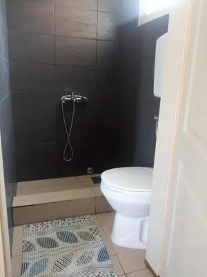 a bathroom with a toilet and a shower at Mara in Podgorica