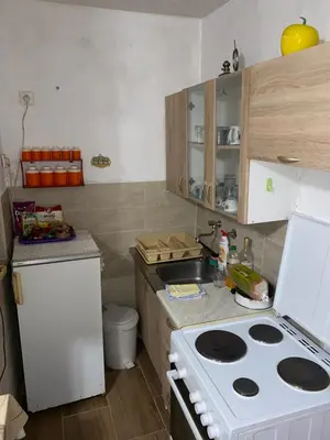 a small kitchen with a stove and a sink at Rijeka crnojevica in Cetinje