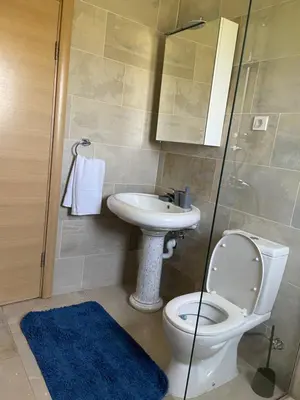a bathroom with a toilet and a sink at Holiday House Korita in Podgorica