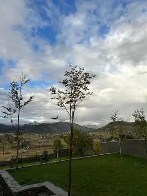 a small tree in a field with a cloudy sky at Holiday House Korita in Podgorica