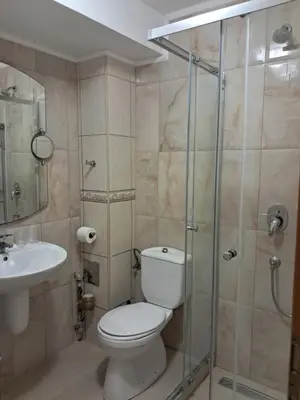 a bathroom with a toilet and a sink and a shower at Holiday Home Apartment in Budva