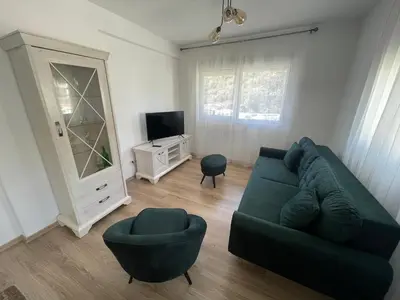 a living room with a green couch and a tv at Listik Apartments in Becici