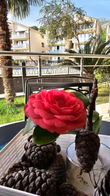 a red rose in a vase on a table at APARTMAN NIKA BUDVA-PRZNO in Budva
