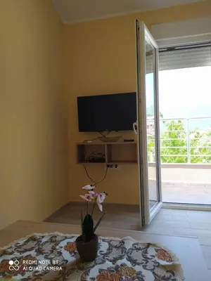 a living room with a tv and a flower on a table at Rada in Kavač