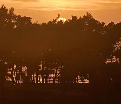 a sunset over a body of water with trees at Danver Apartment in Bar