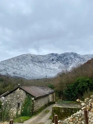 a house on a road with mountains in the background at Skadar Lake House Nature Nest in Virpazar