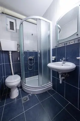 a bathroom with a shower and a toilet and a sink at Apartments Vila Nikolić Rafailovići in Rafailovici
