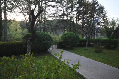 a walkway in a garden with bushes and trees at Brick house in Cetinje