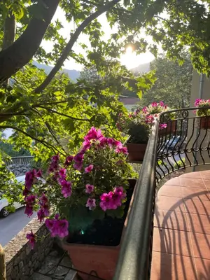 a metal railing with flowers on a balcony at Classy & Central Apartment David (parking included) in Virpazar
