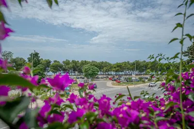 a view of a parking lot with purple flowers at Apartment Marcic in Bar