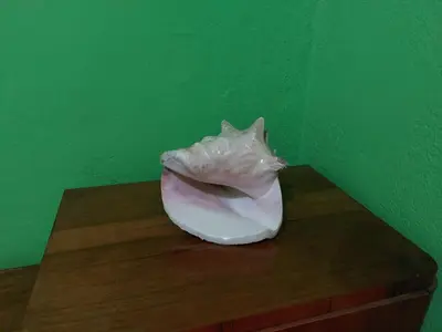 a white vase sitting on top of a wooden table at PEKOVIĆ in Bar