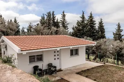 a small white house with a red roof at Olive Grove in Bar