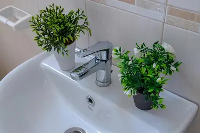 a bathroom sink with two potted plants on it at Vila apartment Astorija 2 in Podgorica