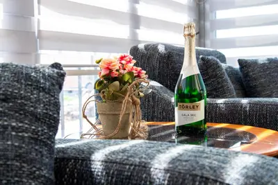 a bottle of wine on a table with a potted plant at Vila apartment Astorija 2 in Podgorica