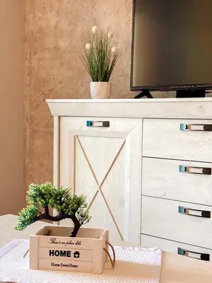 a box with a tv and two plants on a table at Vanja apartment Przno in Budva