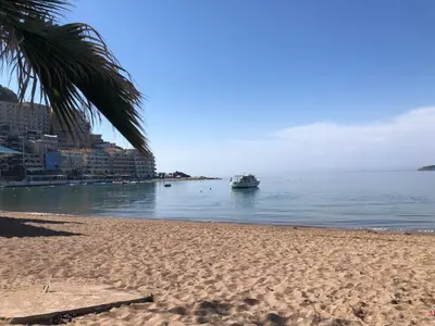 a beach with a palm tree and a boat in the water at Adrian in Rafailovici