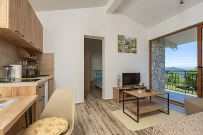 a kitchen and living room with a table and a television at Jasen Apartments Lakeview in Virpazar
