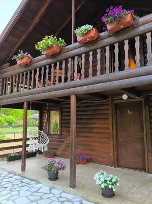 a wooden cabin with potted plants on the stairs at Virpazar Oaza in Virpazar