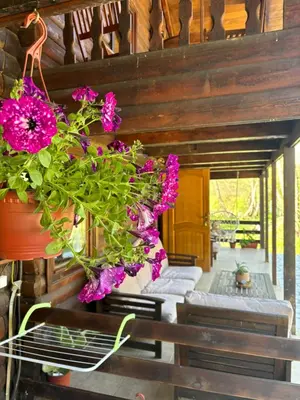 a bunch of flowers in a pot hanging on a wall at Virpazar Oaza in Virpazar