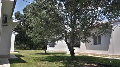 a tree in a yard next to a building at Beni Bungalows in Ulcinj