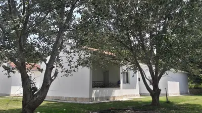 a white building with trees in front of it at Beni Bungalows in Ulcinj
