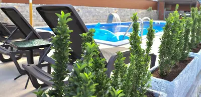 a patio with chairs and a swimming pool at Villa Cataleya in Ulcinj