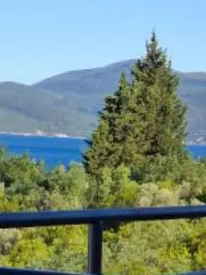 a view of a tree and a lake from a balcony at Apartman u sumi nedaleko od mora in Bigovo