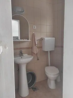 a bathroom with a toilet and a sink at Apartman u sumi nedaleko od mora in Bigovo