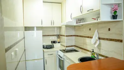 a white kitchen with a sink and a refrigerator at Modern Apartment in City Center in Podgorica