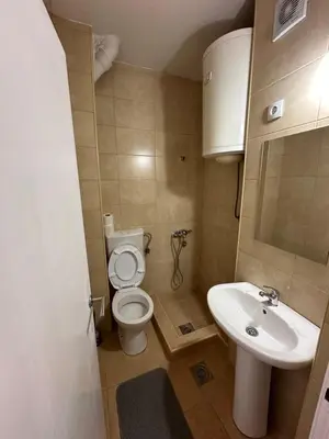 a small bathroom with a toilet and a sink at Alex Apartments in Podgorica