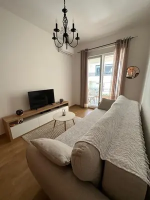 a living room with a couch and a television at Apartman Diplomat in Budva