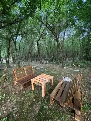 two benches and a picnic table in the woods at Paradise Valley in Rvaši