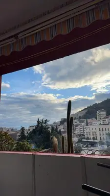 a view of a city from a window with a cactus at Apartman Budva Centar in Budva