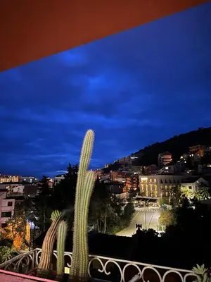 a view of a cactus in a city at night at Apartman Budva Centar in Budva