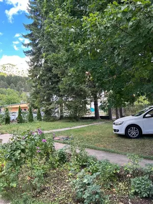 a white car parked in a yard with trees at Studio Nik in Cetinje