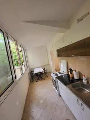 a kitchen with a sink and a stove at Apartman Vučko in Rafailovici