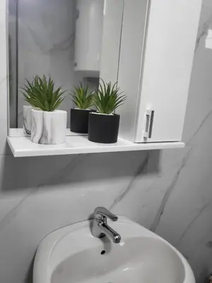 a bathroom sink with three plants on a shelf at Apartman Vučko in Rafailovici