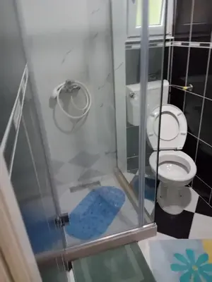 a bathroom with a toilet and a glass shower at Apartman,,Siv,, Prijevor in Budva