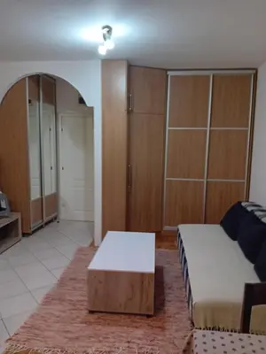 a living room with a bed and wooden cabinets at Apartman,,Siv,, Prijevor in Budva