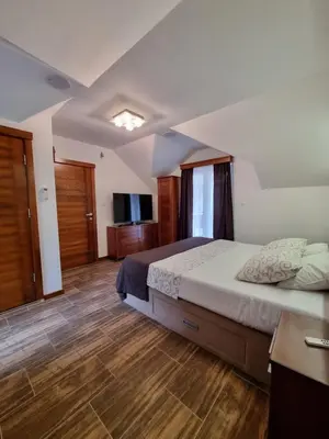 a bedroom with a large bed and a television at DMD Apartments in Budva