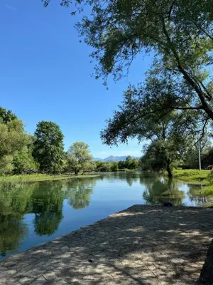 a view of a river with trees in the foreground at NikolaS Family cottage in Cetinje