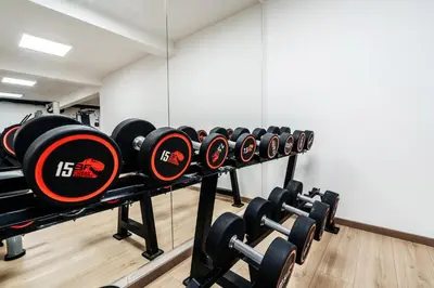 a row of dumbbells in a gym at Olive Tree Apartments by In Property in Becici